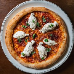 Sugo On Surrey