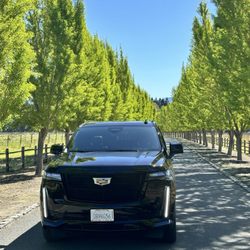 Pat's Luxury Transportation - Beautiful day at Far Niente winery.