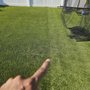 Monster Grass and Turf