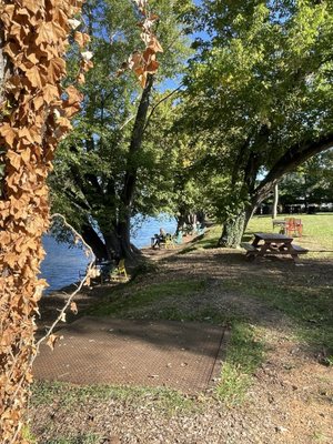 High Five Coffee by null