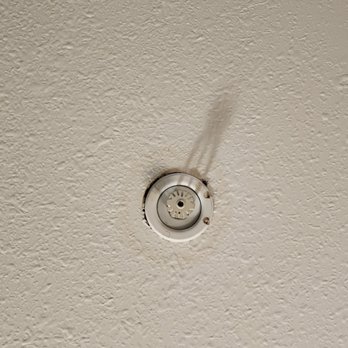 Best Western Plus Aberdeen - Mold on just one part of the ceiling. Can also be found on other parts of the ceiling and wall. - Hotels Near Me - Aberdeen, Washington Best Western Plus Aberdeen - Mold on just one part of the ceiling. Can also be found on other parts of the ceiling and wall. - Hotels Near Me - Aberdeen, Washington