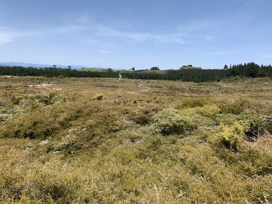 Craters of the Moon by null