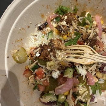 CAVA - Mediterranean Near Me - Palm Harbor, Florida