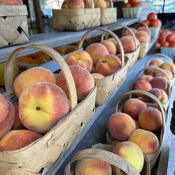 Gloria's Produce Stand