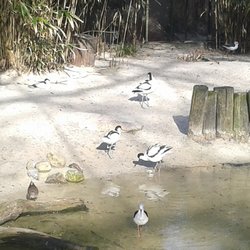 Tierpark Nordhorn - Teil der Wattenmeer-Anlage