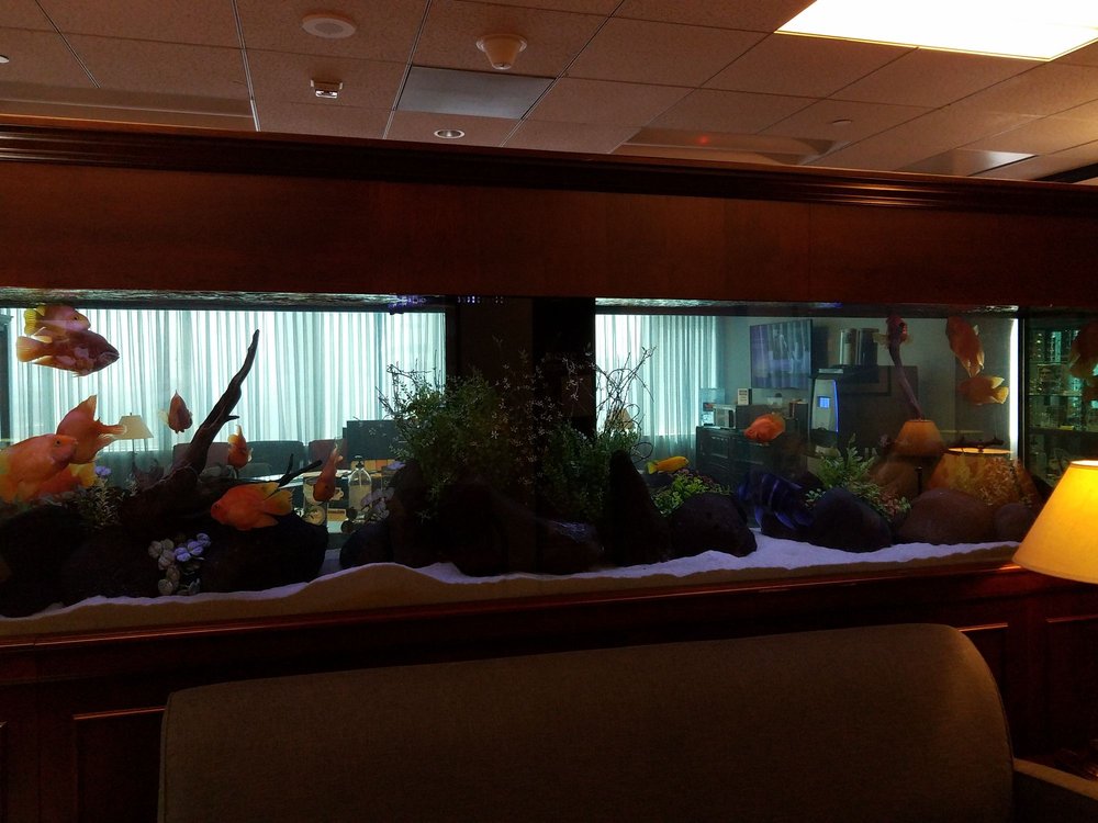 MANN EYE INSTITUTE 10 Photos & 49 Reviews 5115 Fannin St, Houston