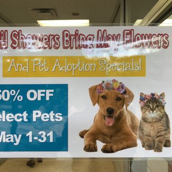 Houston Humane Society - May deals! - Animal Shelters Near Me - Houston, Texas Houston Humane Society - May deals! - Animal Shelters Near Me - Houston, Texas