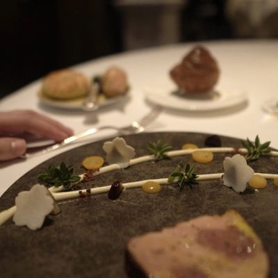 Daniel by null Daniel by null