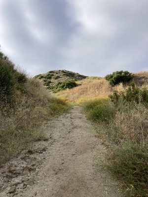 Stough Canyon Nature Center by null