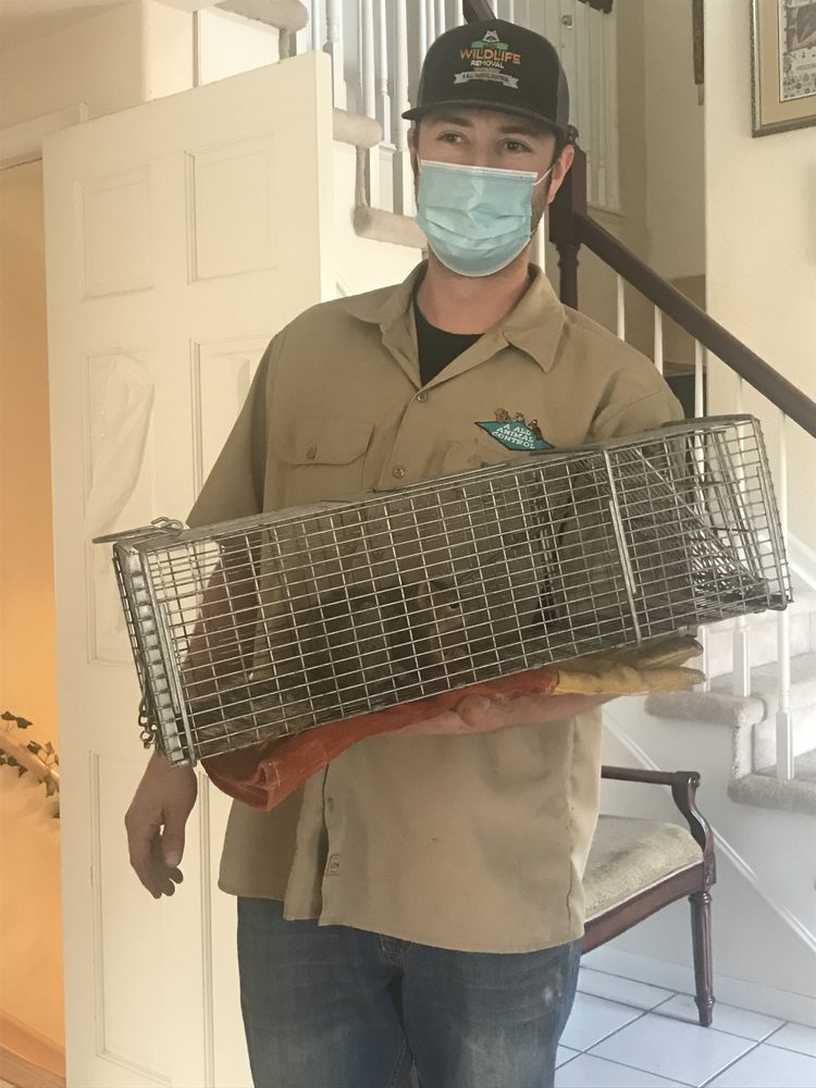 FIRST CHOICE WILDLIFE Updated June 2024 1219 101st Ave Ct, Greeley