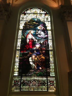 Cathedral of Our Lady of Lourdes by null