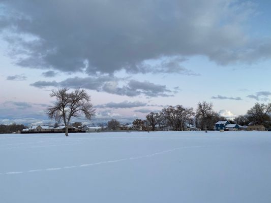 Wheeler Historic Farm by null