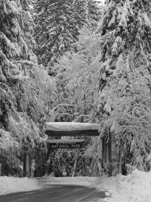 Mount Rainier by null