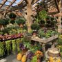 Photo of Shakespeare's Garden