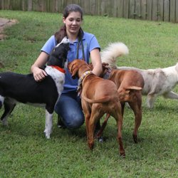 A Stay in the Country Pet Lodge and Training Center