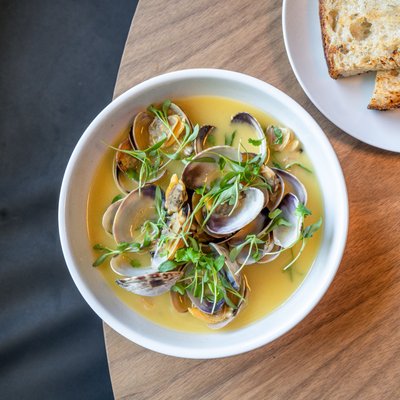 The Lonely Oyster by null