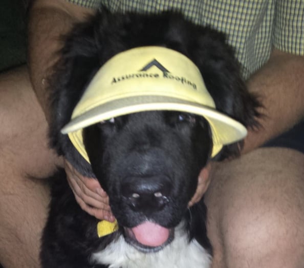 Slide of Assurance Roofing