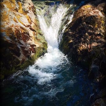 Opal Creek Ancient Forest Center - Hiking Near Me - Lyons, Oregon