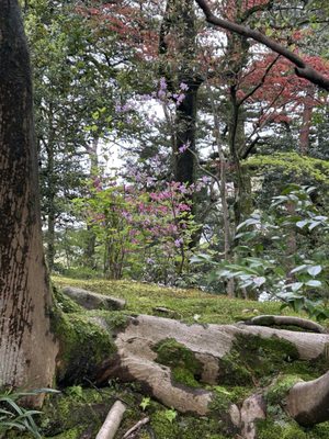 Kenroku-en by null