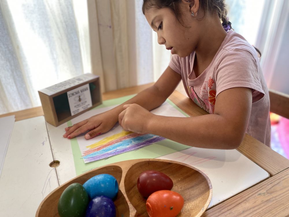 Birds Nest Nursery - childcare center in Santa Rosa, CA