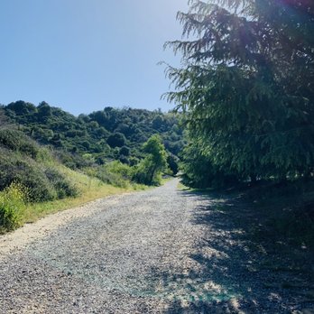 Volcan Mountain Preserve - Trail - Hiking Near Me - Julian, California Volcan Mountain Preserve - Trail - Hiking Near Me - Julian, California