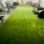 Photo of The New Breed Fitness