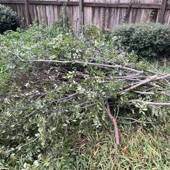 M's Pure Landscaping - Branches - Landscaping Near Me