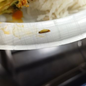 Hunan Lion - Maggot found in my food after ordering take out.  Used to be my favorite place to order from...NOT ANYMORE! - Chinese Near Me - Austin, Texas