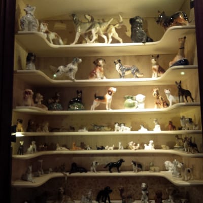 The Museum of Innocence by null