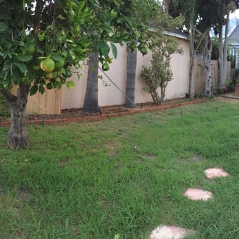 Green Earth Landscapes and Tree Service - Before - Tree Services Near Me - Upland , California Green Earth Landscapes and Tree Service - Before - Tree Services Near Me - Upland , California