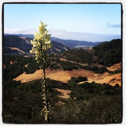 Beautiful place to hike. Beautiful place to hike.