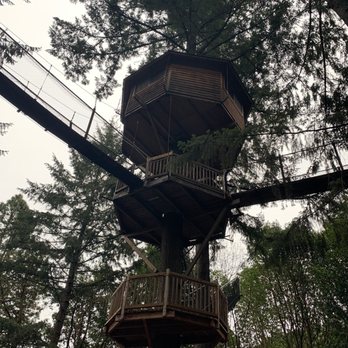 Out'n'About Treehouse Treesort - The Majestree - Hotels Near Me - Cave Junction, Oregon Out'n'About Treehouse Treesort - The Majestree - Hotels Near Me - Cave Junction, Oregon