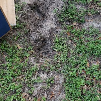 Interstate Recycling Waste - Dumpster Rental Near Me - Orlando, Florida
