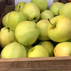 Fort Washington Greenmarket - I always get Ginger Gold late summer