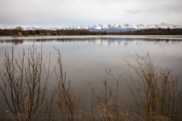 Westchester Lagoon by null