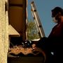 Pro Bird Control Dallas