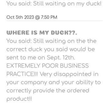 Ducks In The Window - Messages saying they would send correct duck - Candy Stores Near Me - Chatham, Massachusetts