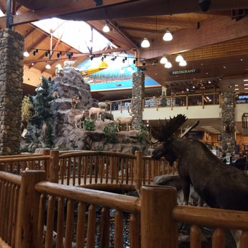 Cabela's - Moose and the "mountain" behind - Outdoor Gear Near Me - Triadelphia, West Virginia