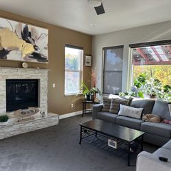 Painter ECol - Live room wall