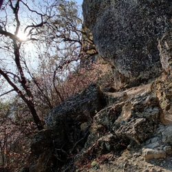 Old Baldy Mountain