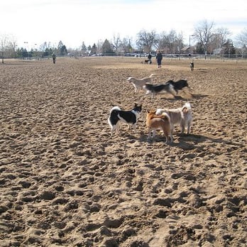 Stapleton Dog Park - Dog Parks Near Me - Denver, Colorado Stapleton Dog Park - Dog Parks Near Me - Denver, Colorado
