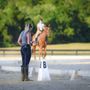 Photo of Fuse Equestrian