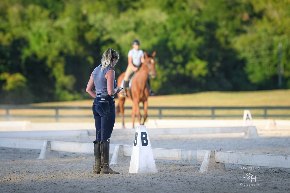 Fuse Equestrian Logo