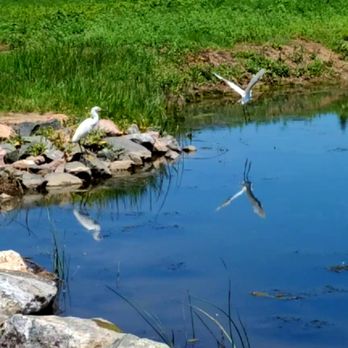John Meade Park - Birds - Parks Near Me - Englewood, Colorado John Meade Park - Birds - Parks Near Me - Englewood, Colorado