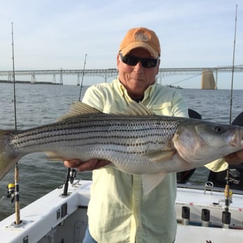 Down Time Sportfishing Charters - Nice Spring Fishing - Boat Charters Near Me - Annapolis, Maryland