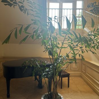The Langham Huntington, Pasadena - Hotels Near Me - Pasadena, California