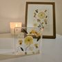 Photo of Pressed Rose Studio