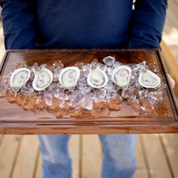 Cherrystone Aqua Farms - Misty Point Oysters