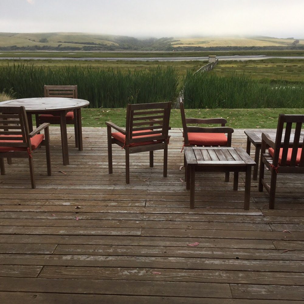 Motel Inverness - Deck outside back of lodge - Hotels Near Me - Inverness, California