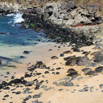 Hookipa Beach Park - Sea turtles - Parks Near Me - Paia, Hawaii Hookipa Beach Park - Sea turtles - Parks Near Me - Paia, Hawaii